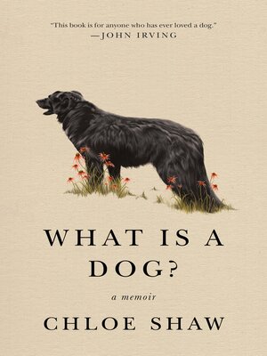 cover image of What Is a Dog?